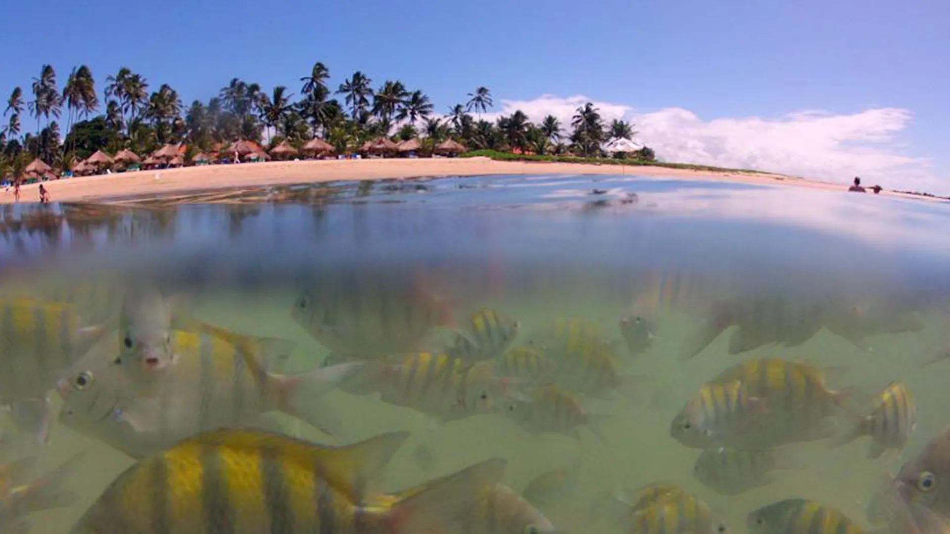 Serrambi Resort Porto de Galinhas Brazil